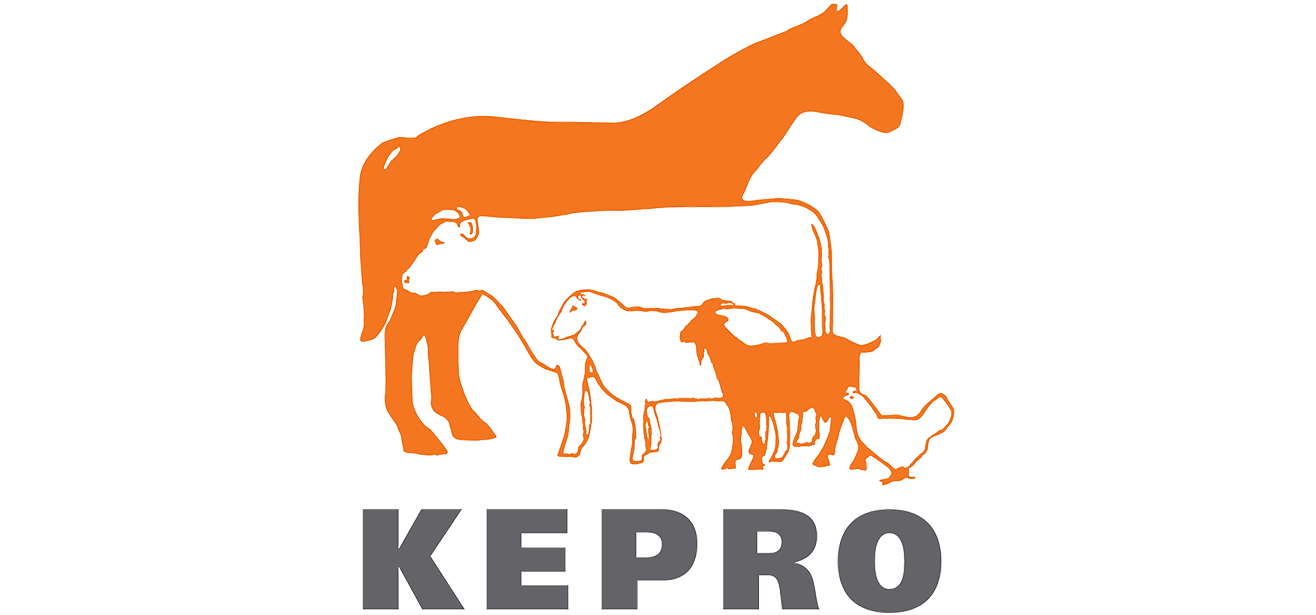 KEPRO