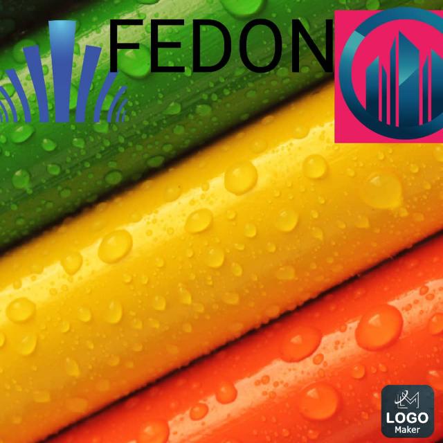FEDON interprise