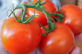 Fresh Tomatos